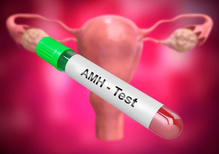 amh-levels:-a-key-to-reproductive-health:-healthifyme